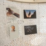 PIERRE BARROT PHOTOGRAPHIES